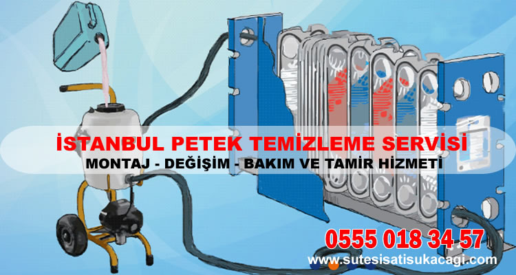 Petek Temizleme Firması